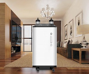 [Hot Item] Double Flow LED Screen Portable High Purity 10L Oxygen Concentrator with Inverter