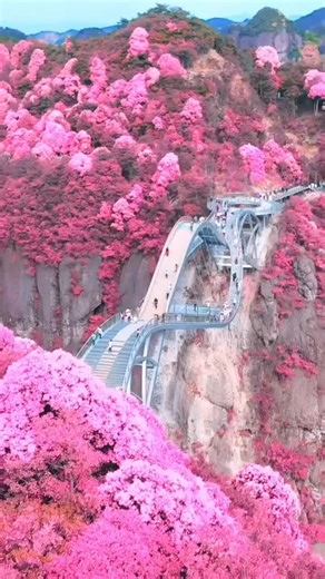 Ruyi Bridge at Shenxianju | Barca News Blog | Facebook