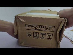 Figma 272 Angela balzac