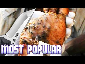 Clyde's Full Jigger Removal! Parasite Popping - Tunga Penetrans (Pt.2)