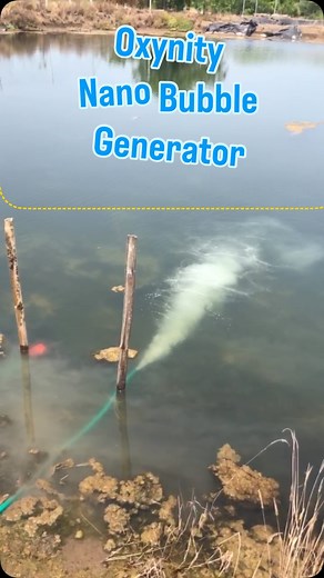 Oxynity Nano Bubble Generator Tested at Tallarevu Kakinada #innovativetechnology #nanobubblegenerator #aerationsystem #aquaculture #aqua #waterquality #efficientaeration #traditionalvsnanobubble #aquacultureengineering #trendingreels | Oxynity- Micro Nano Bubble Generators