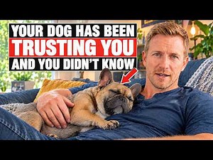 21 Rare Behaviors Dogs Show ONLY When They Trust You Completely