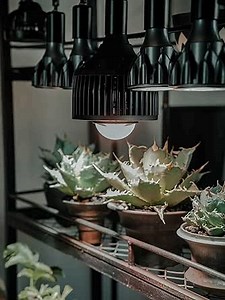 Enhance Plant Growth with The Professional 100W LED Spotlight Bulb for Root Plants and Succulents, Grow Bulb E27 Base, 100W LED Light, Full Spectrum Light Bulb,