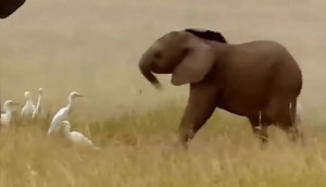 Current lecture, explaining some of my own research to the class. | Geomorphology Rules