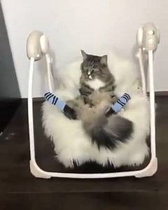 18 reactions | haha | FUN VIDEO | Facebook