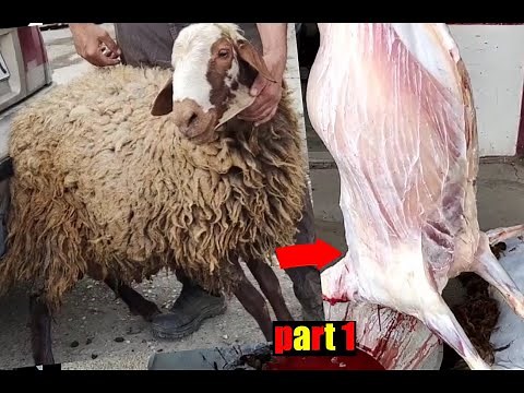 How To Skin A Sheep Part 1| Take Your Butchery Skills to the Next Level: Sheep Skinning Done Right