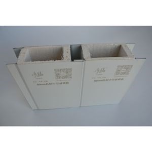 [Hot Item] Premium Cleanroom Wall and Ceiling Panels, Custom Sizes Available