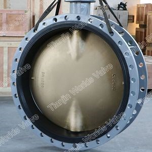 [Hot Item] DN1400 Concentric Rubebr Control Butterfly Valves