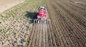 Strip Till su Cover Crop di Tillage Radish (Rafano Aratore) con Vervaet e Strip Tiller Vogelsang Italia X-Till di ChiariAgricoltura. Sono distribuite 280 unità di Azoto…In un solo passaggio di concima distribuendo digestato e si prepara il terreno per la semina. Un lavoro davvero eccellente dove la viene applicata una tecnica agronomica MODERNA, che valorizza le risorse in modo sostenibile ed efficiente. Un modo di fare agricoltura da vero Imprenditore Agricolo. Ringraziamo molto il nostro amico