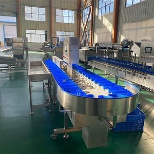 [Hot Item] Automatic Chicken Duck Weight Sorting Machine Poultry Processing Efficiency Solution