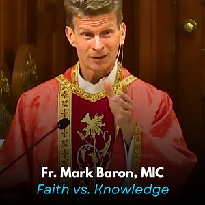 565 reactions | In today’s homily, Father Mark Baron, MIC used St....