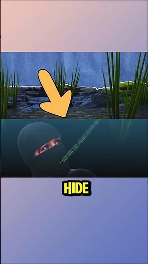 Is It True That Ninjas Carried Out Silent Underwater Assassinations?