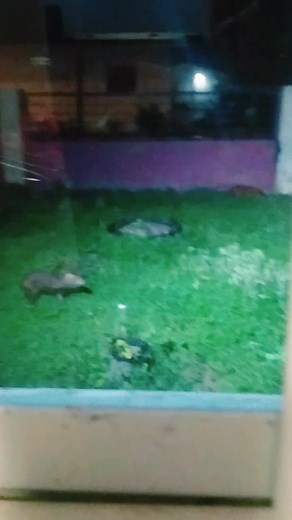 TikTokBosslady on TikTok