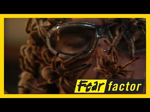Fear Factor US Season 2 Episode 14: Tarantula Torture Cell 😨