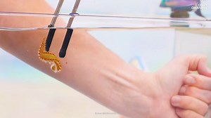 Watch what happens when a fireworm defends itself with toxic spines