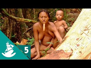 Amazonia: La Selva y el Asfalto (parte 5/5)