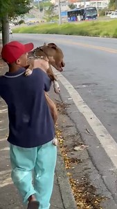 Os problemas só se acumulam. - As dívidas - A volta da Fiona - Os 5 boletos de ração atrasados - E agora, um dos espaços que temos alguns pits ales, pediu para tirar os cães com urgência. Fizemos uma nova vaquinha para ajudar nos custos, e tentar pagar um pouco das dívidas. E a Capitu resolveu aparecer aqui só para lembrar vcs como os cães resgatados tem uma vida maravilhosa e uma grande chance de recomeço. E isso só continua, se vcs ajudarem 🙏🏼🙏🏼🙏🏼🙏🏼 Você pode contribuir com um pouquinh