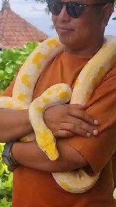 Onyx Hair & Beauty Crew on Reels