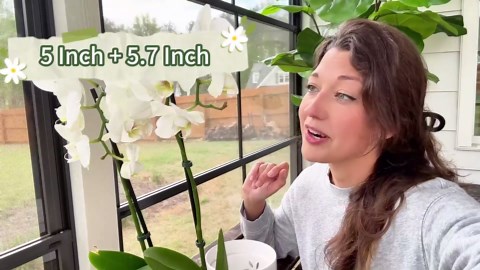 Small Orchid Pots with Holes 5 Inch & 6 Inch, Ceramic Orchid Pots for Repotting, 2 Pack Breathable Slotted Orchids Planter, White Leaf