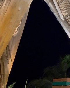 Miguel Tudela on Reels