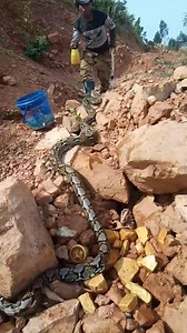 Lost Treasure Underground #shorts #treasurehunting #metaldetecting #tricks #tips #treasure #hunting #hunter #findgold #rockhounding #oregon #jasper #metaldetecting​ #metaldetector​ #treasurehunt #treasurehunting #AdventureReady | MY CAT