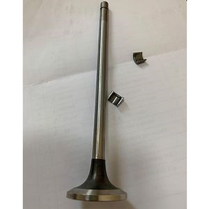 [Hot Item] Cummins Engine Part Intake Valve 3418020/3800638 for Cummins M11/ISM11 Engine