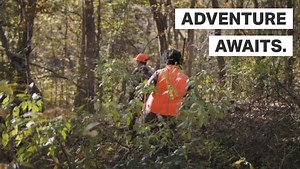 284 reactions · 20 shares | Enjoy all the outdoors has to offer. Get your hunting & fishing license now! | Wildlife Resources Division - Georgia DNR | Facebook