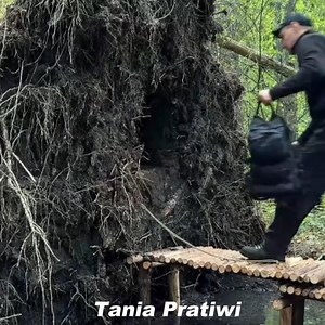 74K views · 1.4K reactions | He shows how to build a perfect shelter on top of a fallen tree trunk | Tania Pratiwi | Facebook