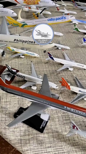 You’re a true aviation enthusiast—just like us. We craft high-quality, ultra-detailed aircraft models that bring legendary planes right into your hands. From the Concorde to the F-22 Raptor, we’ve got something for every collector. Your dream model is waiting. Don’t just admire it—own it. ✈️ Shop now: shopflightmodels.com | FlightModels