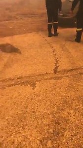 183K views · 1.2K reactions |  Εκκενώνεται η περιοχή Φέριζα στην Κερατέα. Βίντεο: Petros Filippou | Forecast Weather Greece | Facebook