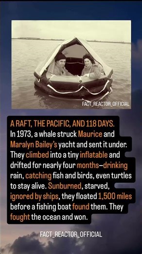 The Baileys — 118 days adrift and alive #SeaStories #TrueGrit #youtubeshorts