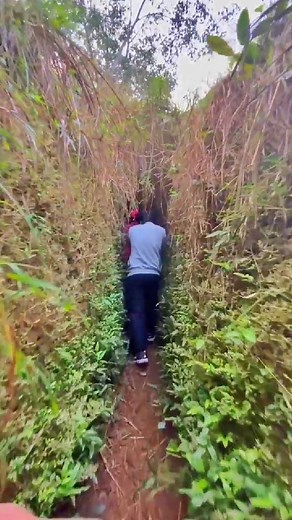 Sinaz Mohammed on Instagram: "MAGICAL WELL Walk down to the well THUVVAKKAD (Aroor-Akode, Malappuram) Search Thuvvakkad Well In GMap It is located in a hillside and a near by beautiful Viewpoint is also there #mystery #kerala #godsowncountry #history #well #magicalwell #reels #instagram #instagood"