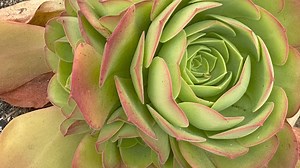 We raised nearly $400,000. My speech presentation received a standing ovation. What an amazing event! 👉Need a #KeynoteSpeaker who will #inspire, #motivate & #challenge your employees, donors and/or community to action? 👉Visit jimmywayne.com/take-action and book #JimmyWayne | JIMMY WAYNE