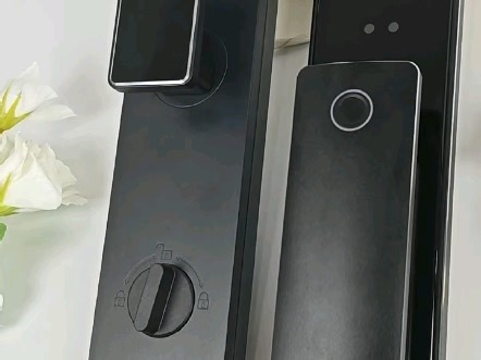 C10人脸对讲版功能:人脸识别，指纹，密码，刷卡，钥匙，主动查看，主动监控，视频通话。