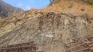 Tiger के इलाके में अकेले रहने 😱 की हिम्मत❗️रोज रात को आता है टाइगर 🐅 #wildlife #nature #jungle #Village Part 19 | Abhishek Kumar