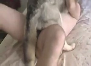 Hard Husy Fuck Gaybeast Rip - Bestiality Sex