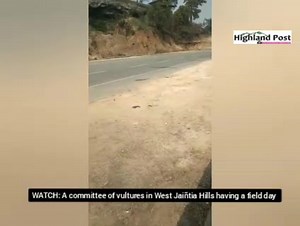 #MeghalayaNews #Meghalaya #meghalayatourism #WestJaintiaHills #vultures #migratorybirds #twitchers #birders #birds #wildlifeconservation #SaveBirdsServeNature | Highland Post