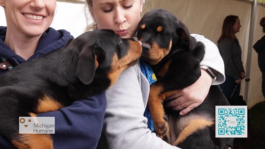 Everyone deserves to feel the love of a pet. This holiday, help us continue spreading the joy pets bring like our supporter Mike Morse from the Mike Morse Law Firm by donating now at https://bit.ly/49HBT1D. Until midnight on December 31st, your gift will be tripled up to $250,000 by our board of directors. #mhumane #bettertogether #betterwithpets #animallove #pets | Michigan Humane