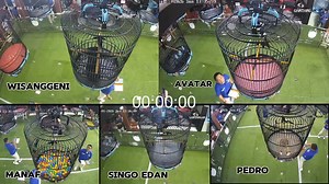 39K views · 293 reactions | VIDEO KELAS UTAMA PARIS VAN JAVA VERSI...