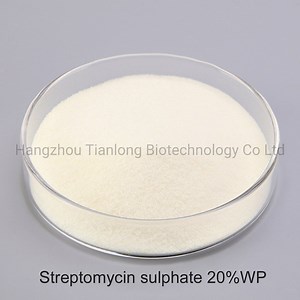 [Hot Item] Fungicide for Controlling fire blight in pears and apples Streptomycin-sulphate  20%WP