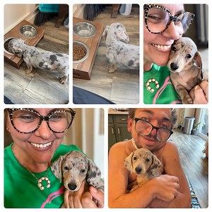 Oh my gosh you guys!!! Aggi is the sweetest my heart is so full!!!!!🐾🐾🐾💕💕💕💕 | Queen Anne's Lace