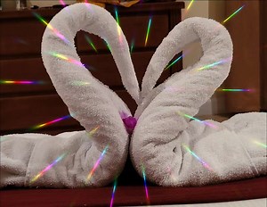 10K views · 37 reactions | Alex Costa Comedy on Reels | Facebook