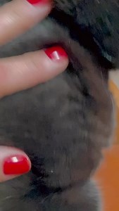 Natalie Pérez on Reels | Facebook