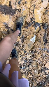 ‼️Dirtiest hike in Singapore 🥾 Is it worth it 📍Clementi Forest Trail 🔛Start at Ngee Ann Polytechnics and fight your way through the muddy and adventurous path😉🥾🍃 If you are looking for an adventure the | soycintiacossio