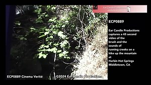 ECP0889 Harbin Hot Springs Hike