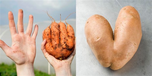 People Are Selling Their Bizarre Foods For Thousands On eBay