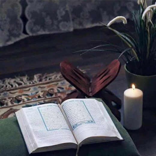 حسابات مقترحة