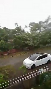 NANDO BATTERS STA. ANA, CAGAYAN NEWS UPDATE: Strong winds and torrential rains pounded Sta. Ana, Cagayan, on Monday as Super Typhoon Nando swept through the region, bringing widespread damage and severe weather conditions. Footage shows intense gusts and heavy downpour battering communities, with local authorities closely monitoring the situation. | Jasper Dawang, video/Cagayan PDRRMO #NandoPH #WeatherUpdate #DailyTribune | Daily Tribune