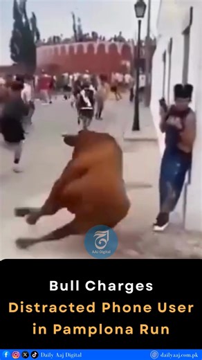 Bull Charges Distracted Phone User in Pamplona Run... Video credit goes to the respected owner! NO COPYRIGHT INFRINGEMENT IS INTENDED. #DailyAajDigital #reels #trending #viralVideo #ZeroAwareness #BullAttack #PhoneFail #Pamplona | Dailyaajdigital