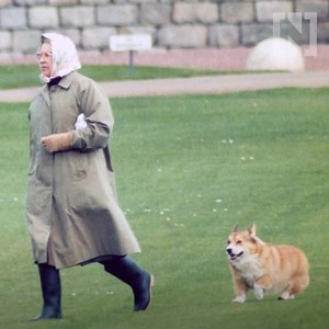 62K views · 791 reactions | Seven facts about Queen Elizabeth as she turns 95 | The National | Facebook